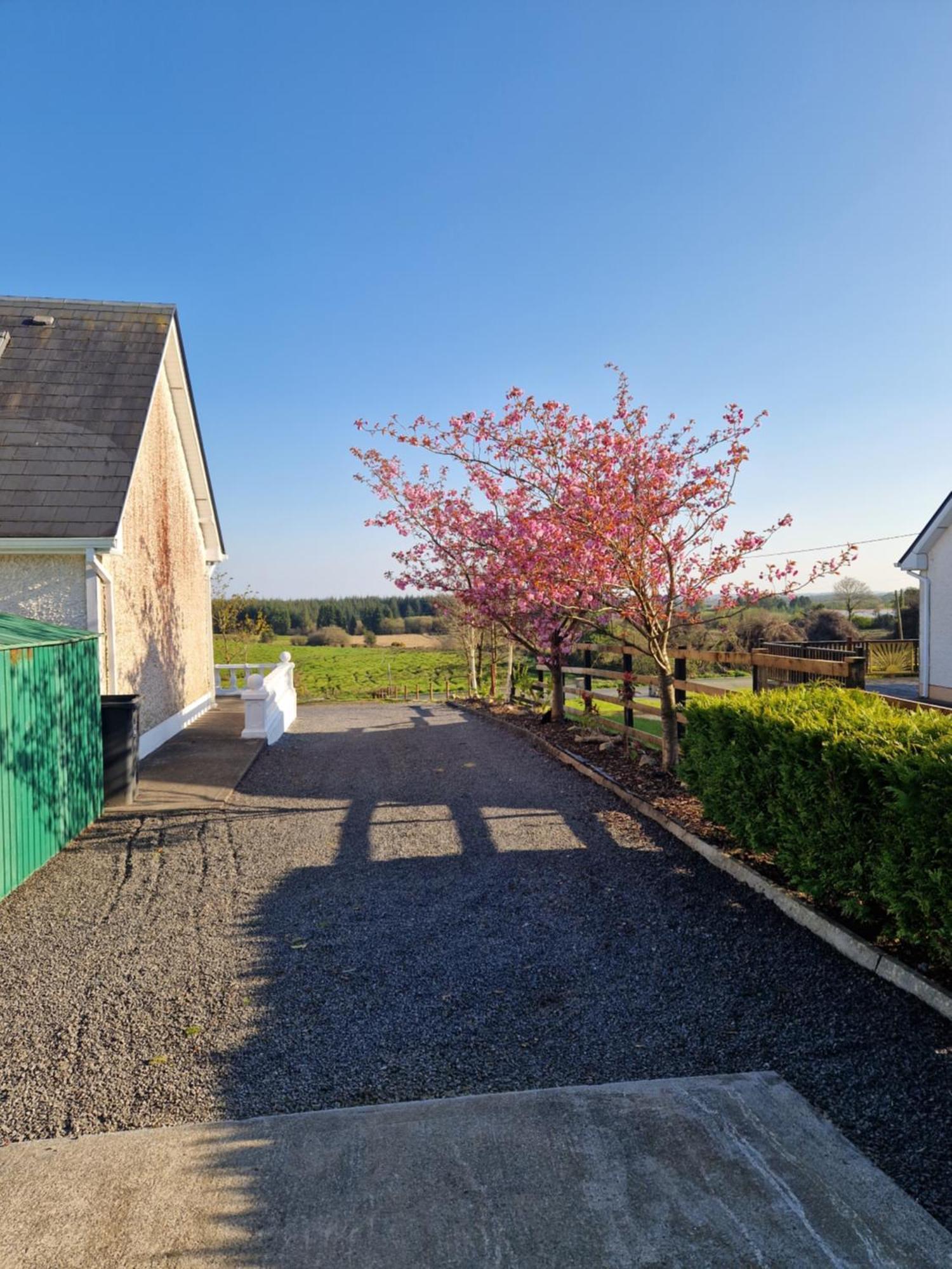 Forest View Dunmore Galway H54P897 Bed & Breakfast ภายนอก รูปภาพ
