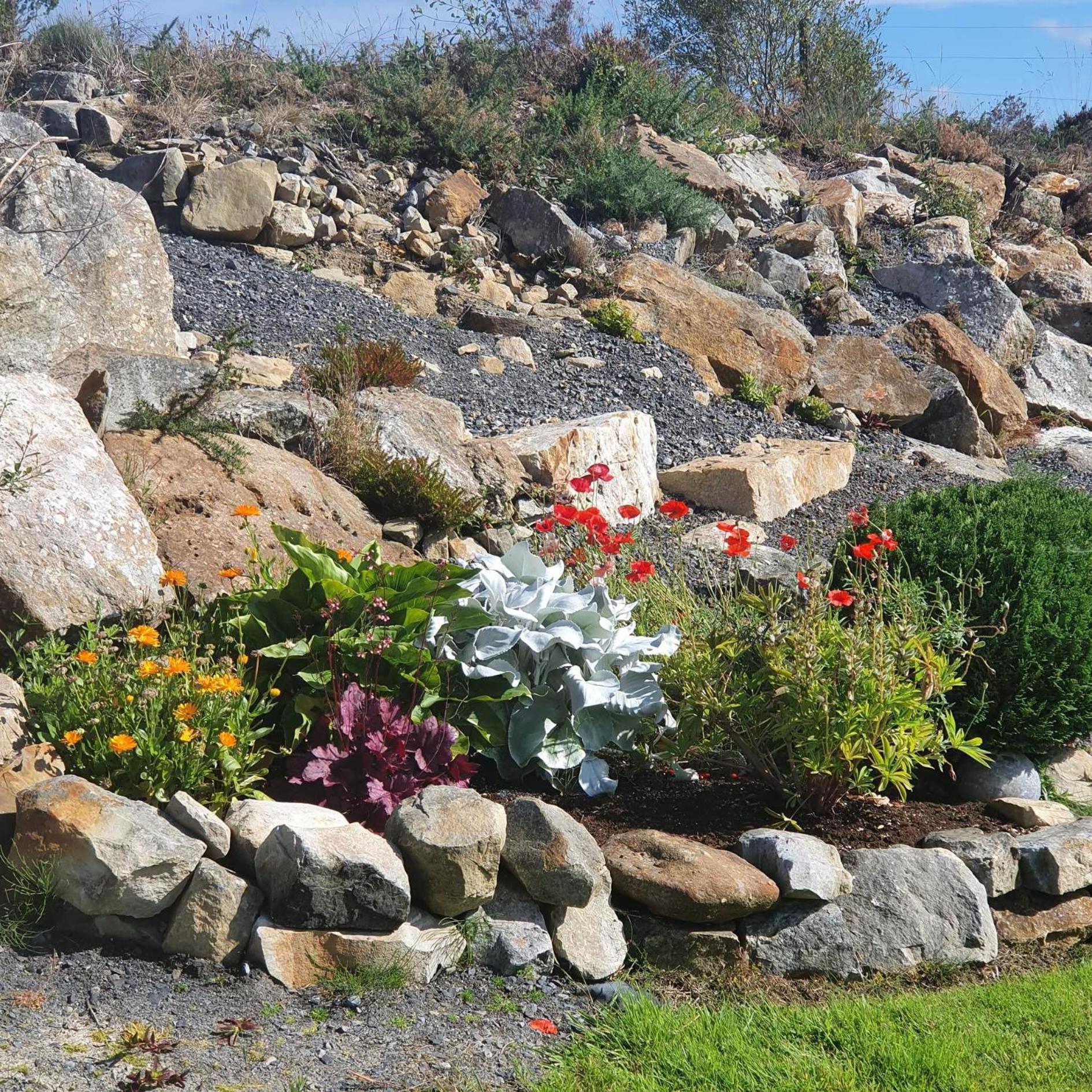 Forest View Dunmore Galway H54P897 Bed & Breakfast ภายนอก รูปภาพ