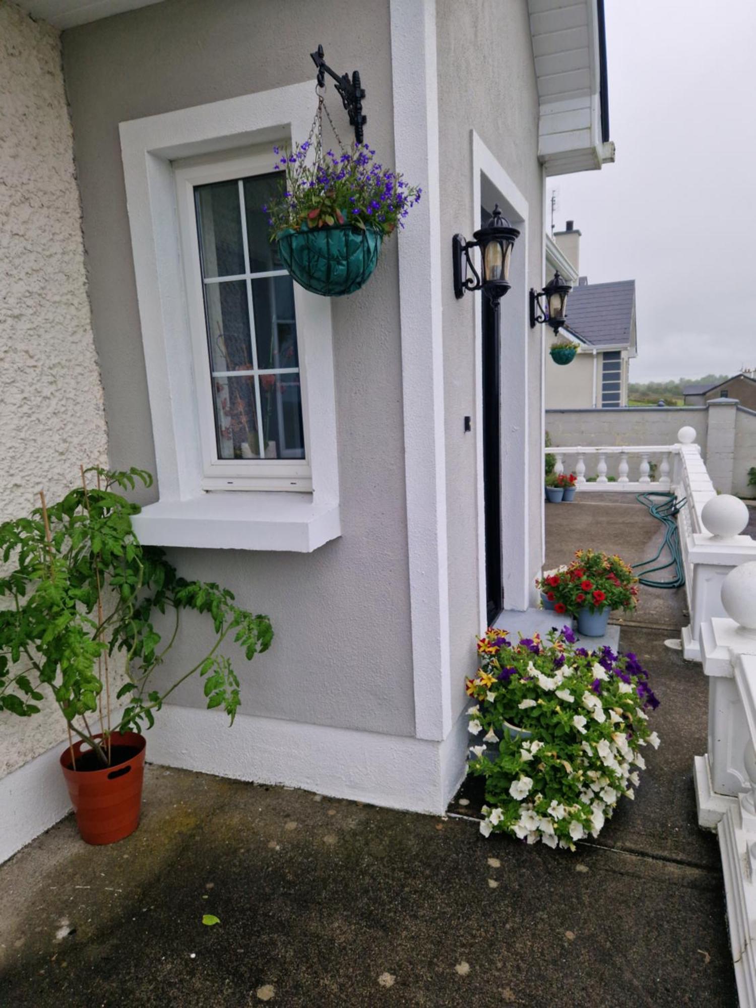Forest View Dunmore Galway H54P897 Bed & Breakfast ภายนอก รูปภาพ